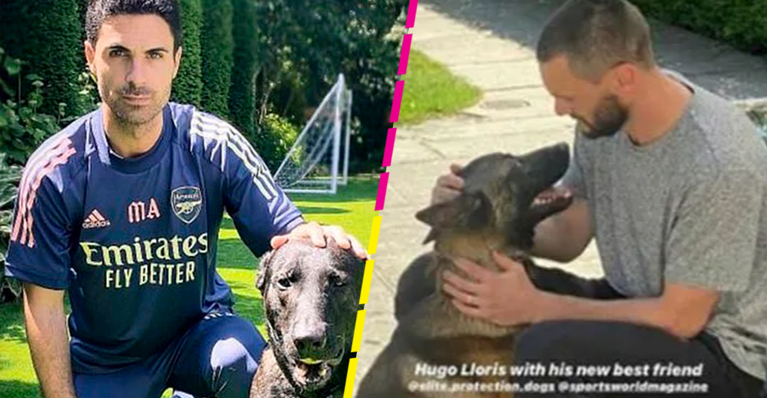 ¿Qué es Elite Protection Dogs, empresa de perros guardianes que los jugadores de Premier League utilizan?
