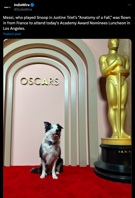 Messi: The story of the little dog invited to the 2024 Oscars