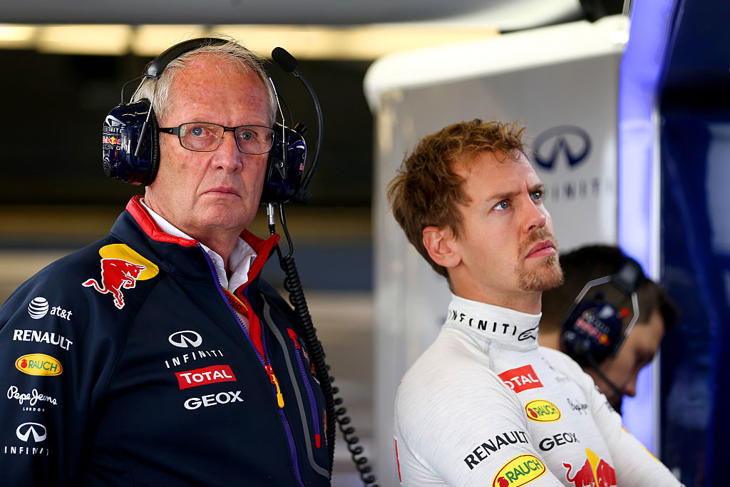 Helmut Marko brought Vettel to F1