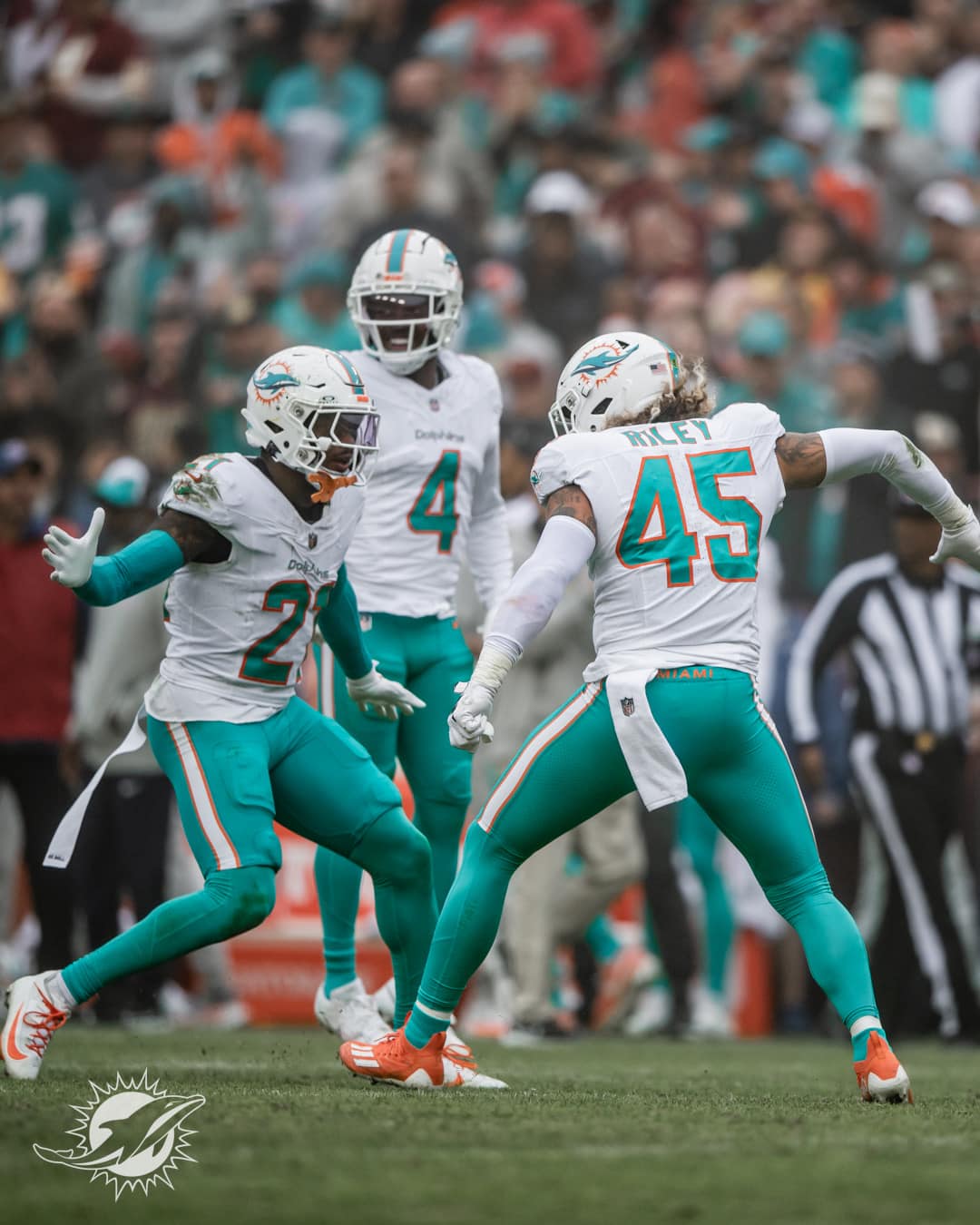 The Miami Dolphins are leaders of the AFC