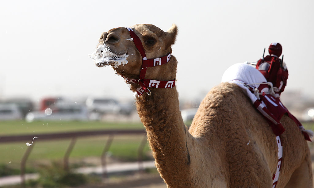 10 curious facts that you may not know about Qatar