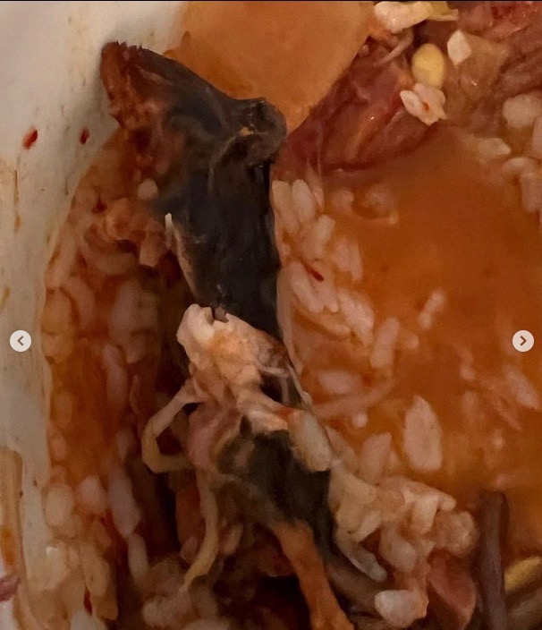 dead rat soup new york