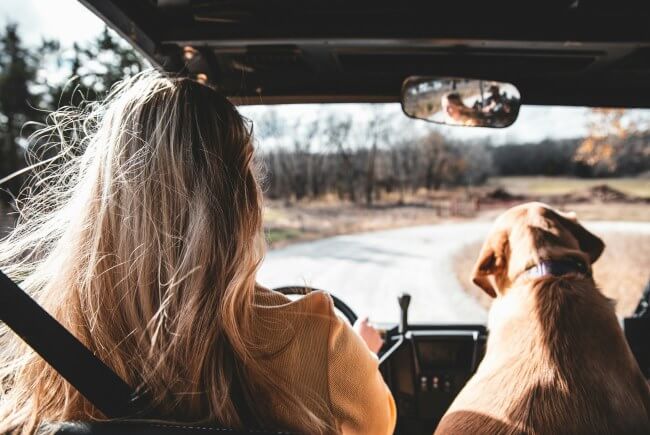 Vámonos de la Ciudad de México al fin del mundo en Argentina en coche
