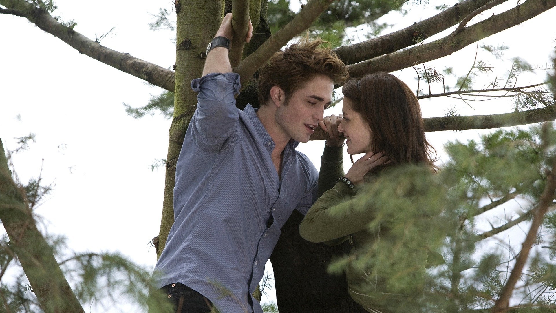 10 songs from the “Twilight” saga worth watching (part 2)