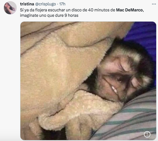 The reactions and memes that Mac DeMarco provoked with his new album of 199 songs