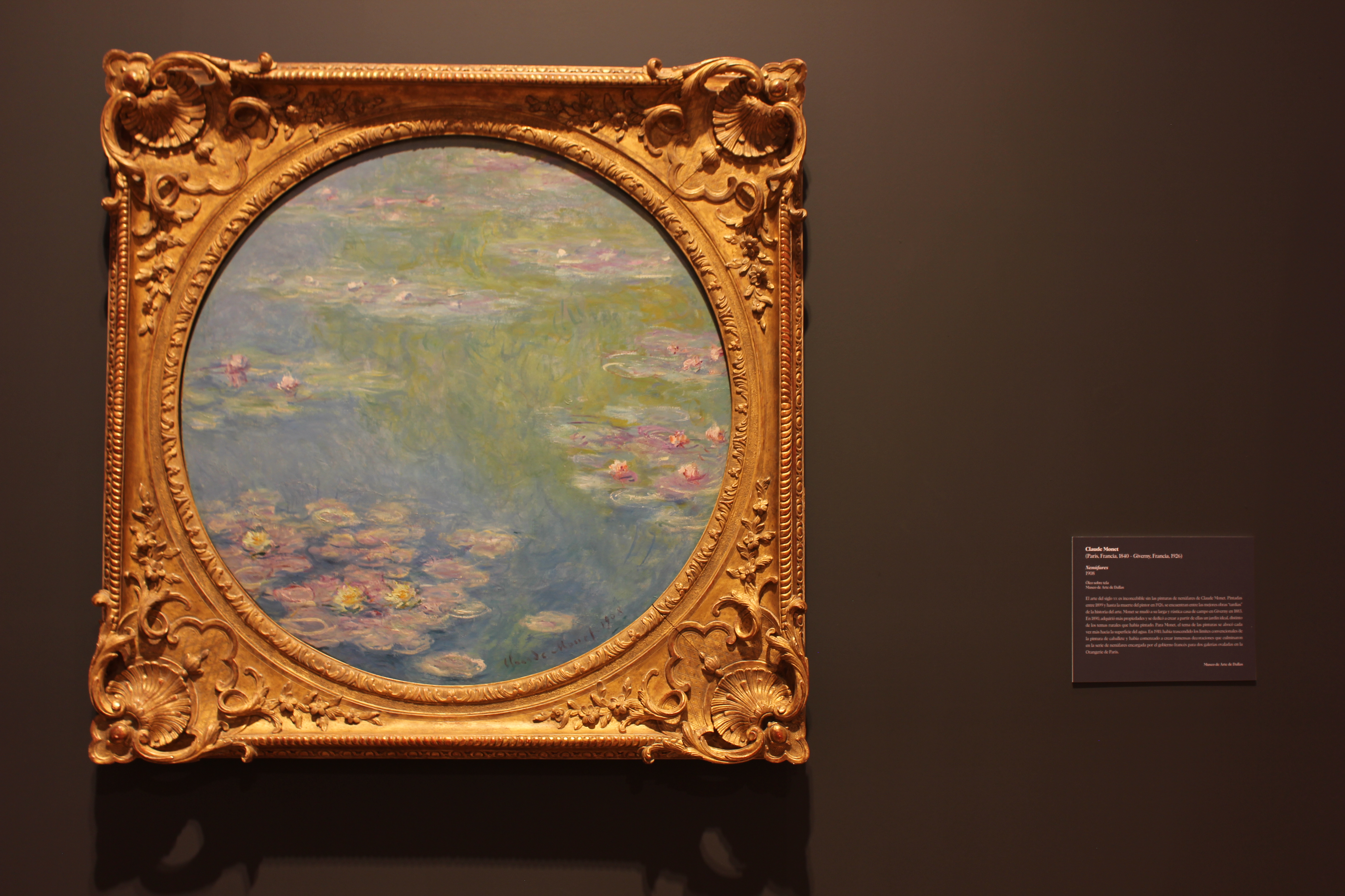 Monet's exhibition at the MUNAL
