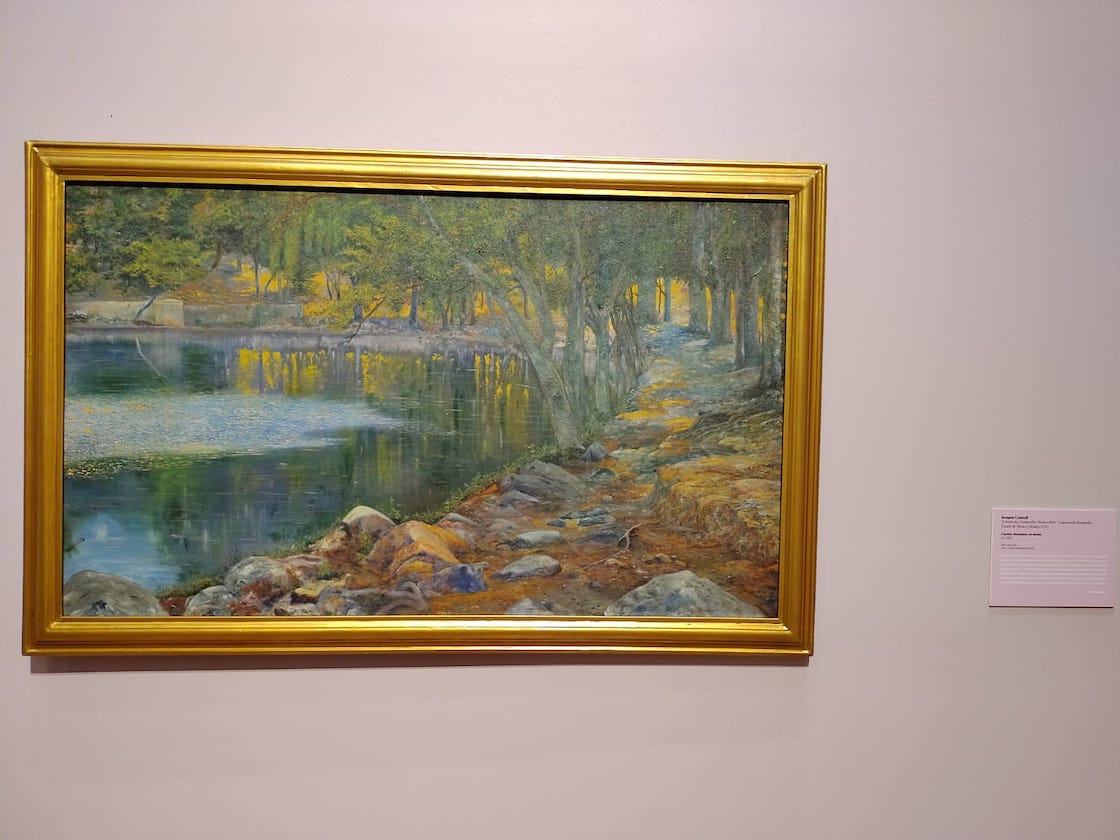 Monet's exhibition at the MUNAL