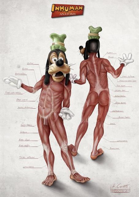 Popular-Disney-Character-Anatomy-by-Alessandro-Conti-3