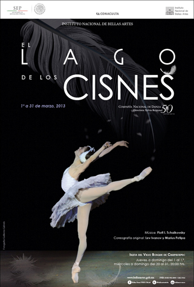 lago-cisnes-2013-reg copy