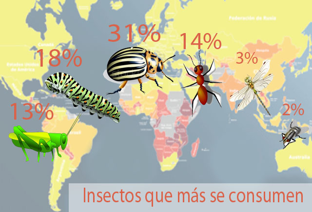 insectos_consume