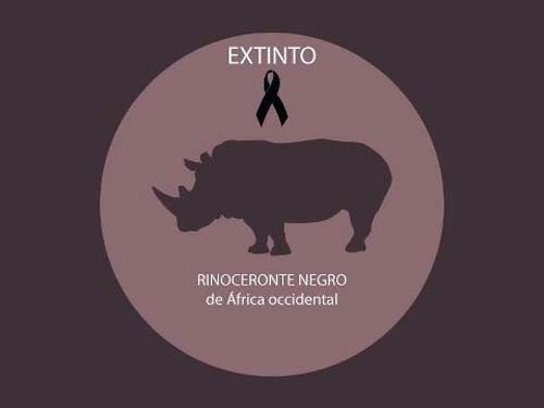 rinoceronte_negro_extinto_2