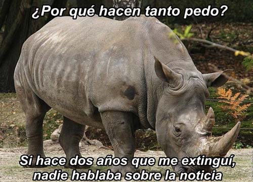 rinoceronte_negro_extinto_3