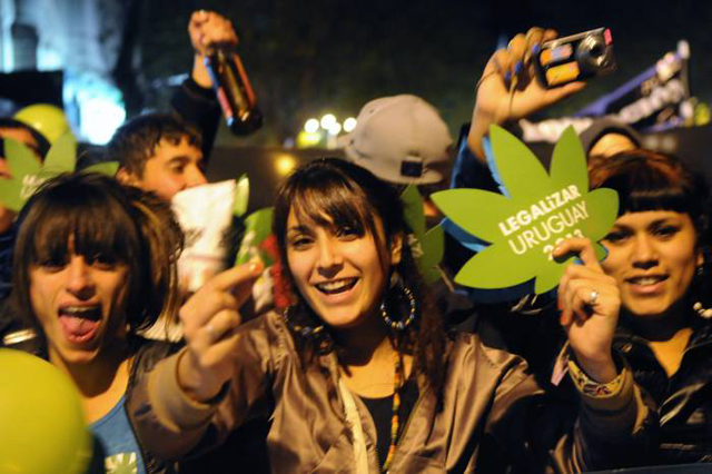 uruguay marihuana 2013