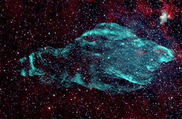 Manatí nebulosa