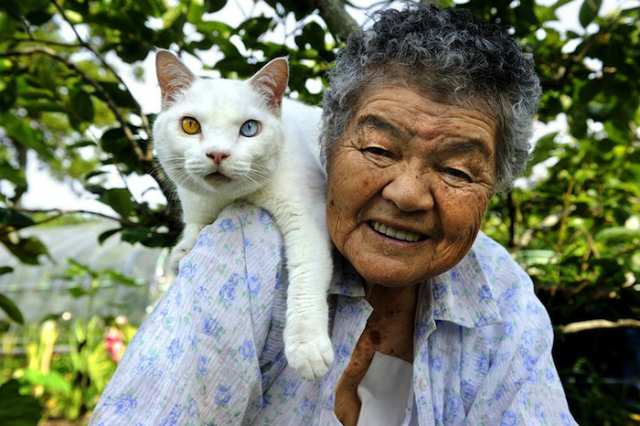 abuelita y gato 12