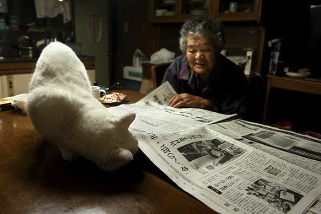 abuelita y gato 13