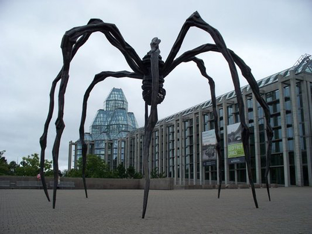 Canada_spider