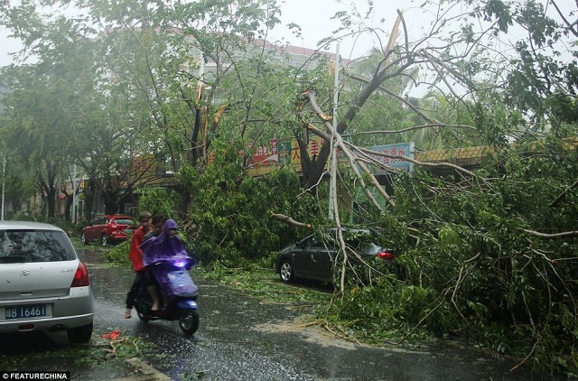 Haiyan Filipinas19