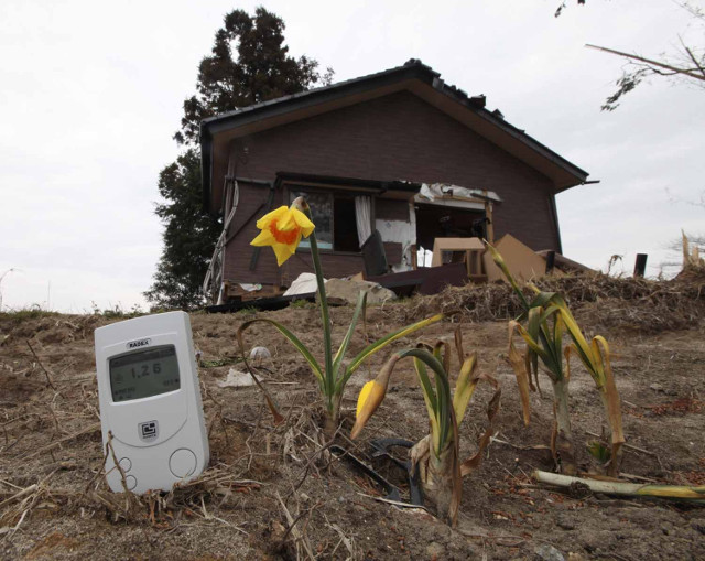 fukushima-house-data