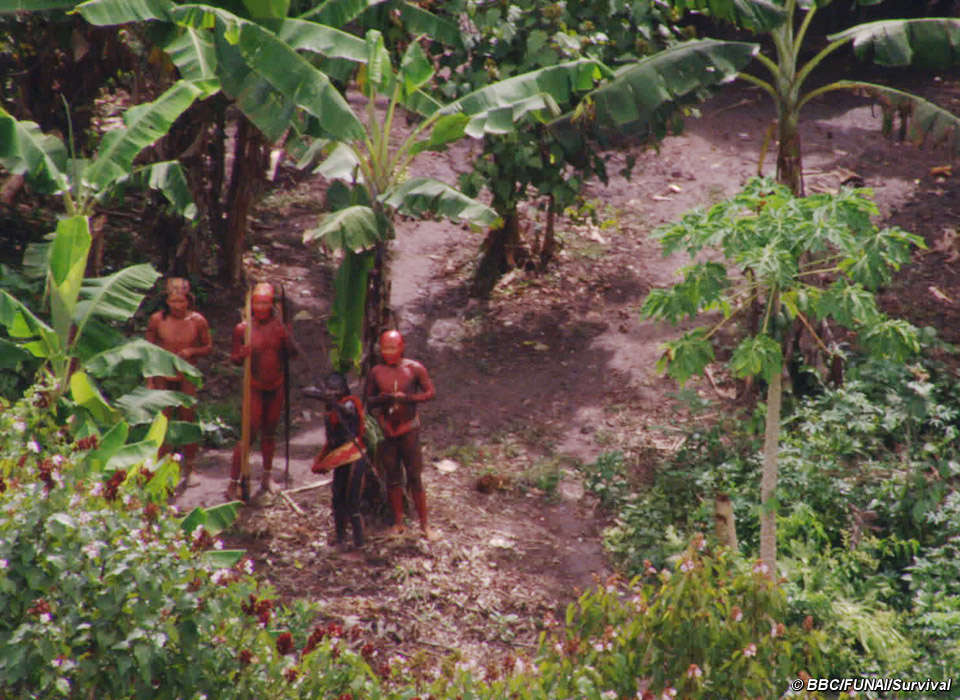 uncontacted-footage-thumb-01_screen
