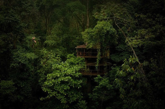 treehouse-resort-in-costa-rica-finca-bellavista-1