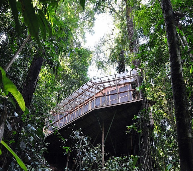 treehouse-resort-in-costa-rica-finca-bellavista-15