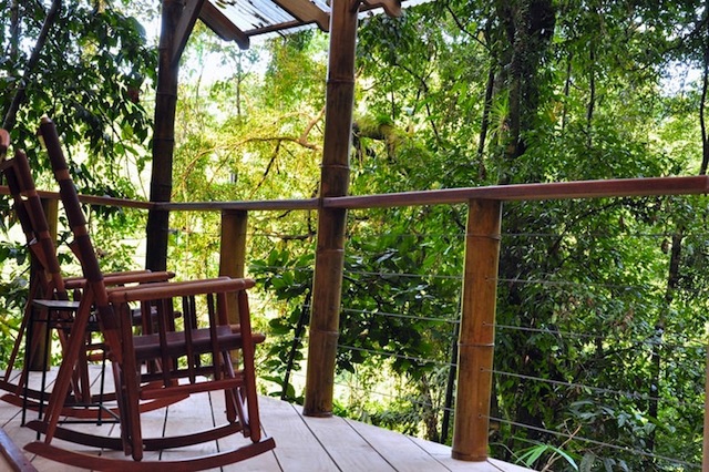 treehouse-resort-in-costa-rica-finca-bellavista-16
