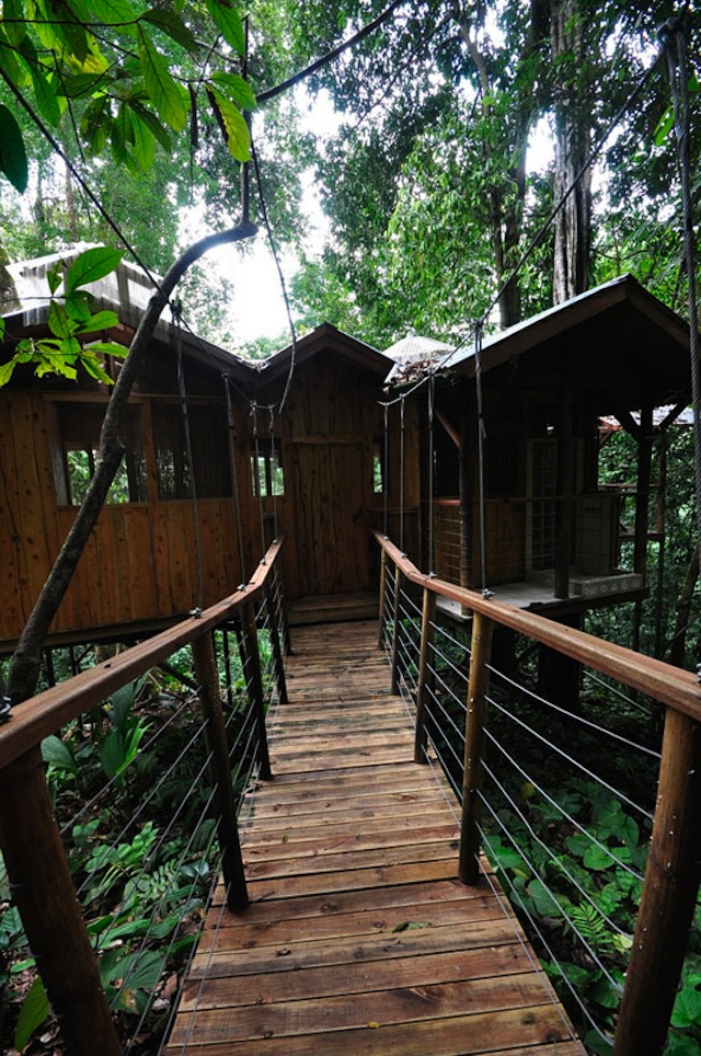 treehouse-resort-in-costa-rica-finca-bellavista-18