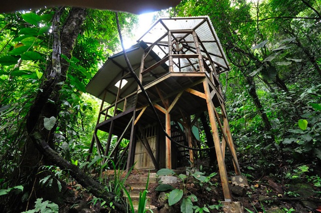 treehouse-resort-in-costa-rica-finca-bellavista-20