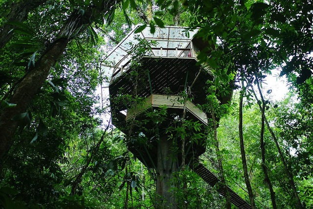 treehouse-resort-in-costa-rica-finca-bellavista-8