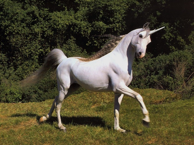 unicorn1