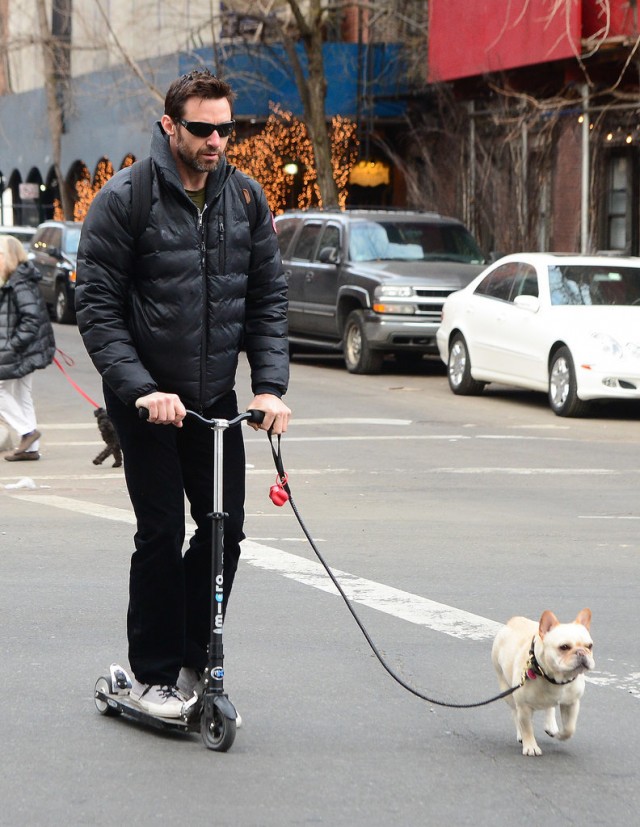 Tuesday-Hugh-Jackman-took-his-scooter-walk-his-dog-NYC