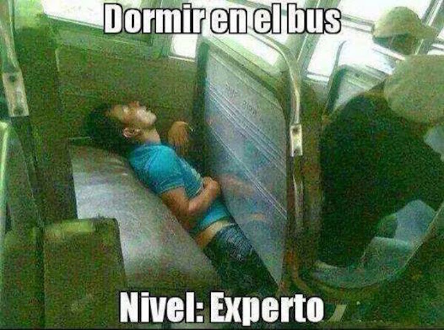 experto en dormir en los buses