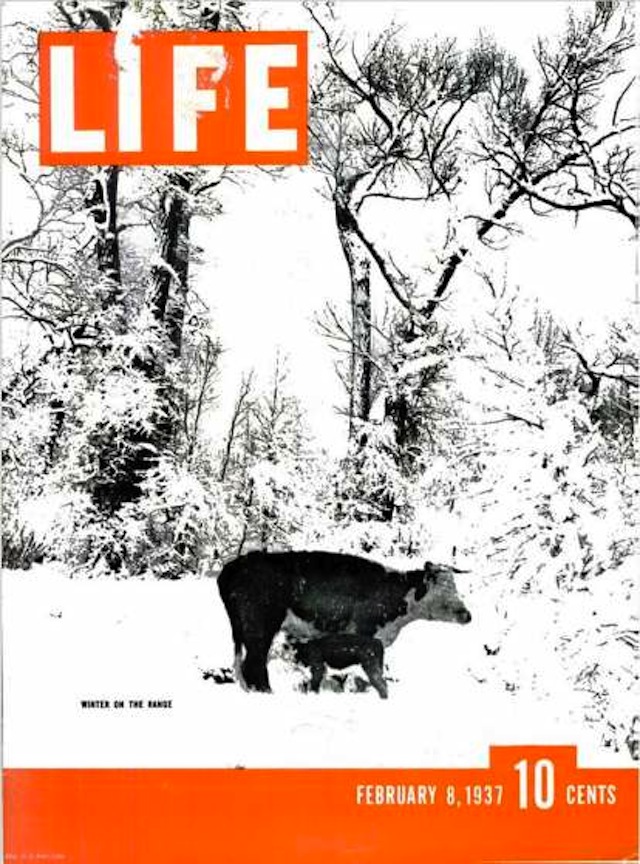 150413-life-animal-covers-01
