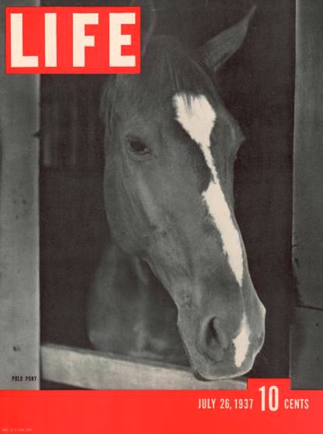 LIFE cover 07-26-1937 polo pony at Bostwick Field on Long Island.