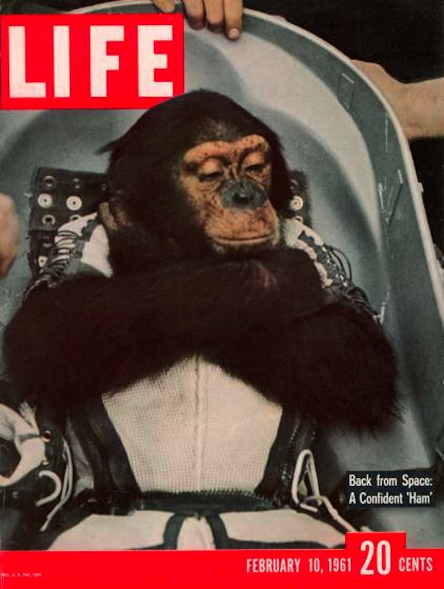 LIFE cover 02-10-1961 Chimpanzee named Ham in space capsule after returning from the Mercury Redstone 2 space flight, from AP.