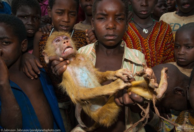 Mozambican children with captive Yellow Baboon