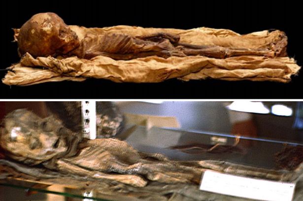 UFO-believer-apologises-amid-claims-a-dead-alien-photo-was-actually-a-mummified-child-main