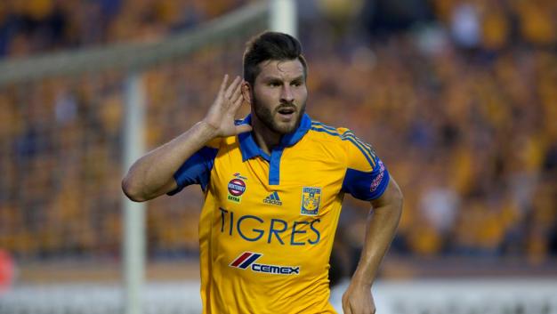 gignac tigres