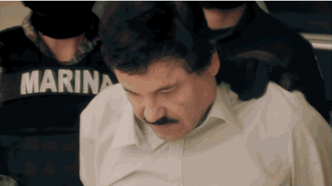 GIF del Chapo Guzmán