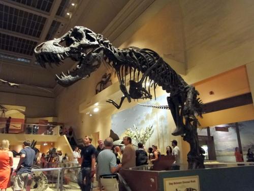 SMITHSONIAN NATIONAL MUSEUM OF NATURAL HISTORY