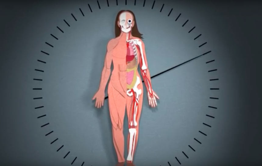 Este video muestra varios procesos del cuerpo con el paso del tiempo