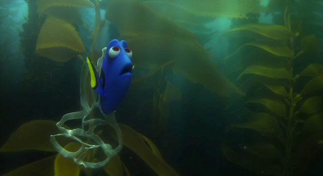 finding_dory7