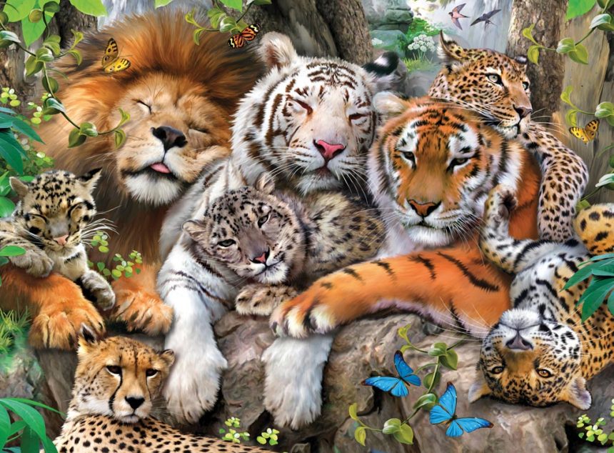 grandes-felinos-animales-extincion-2