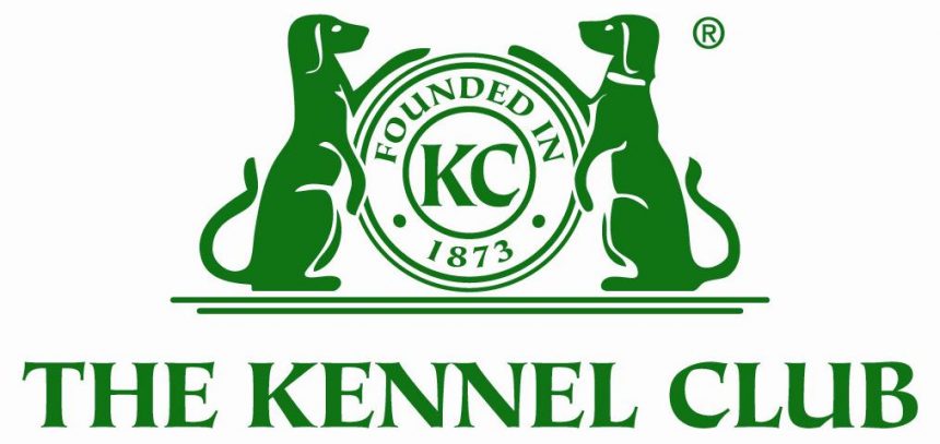 kennel-club-perros-razas-enfermedades-2