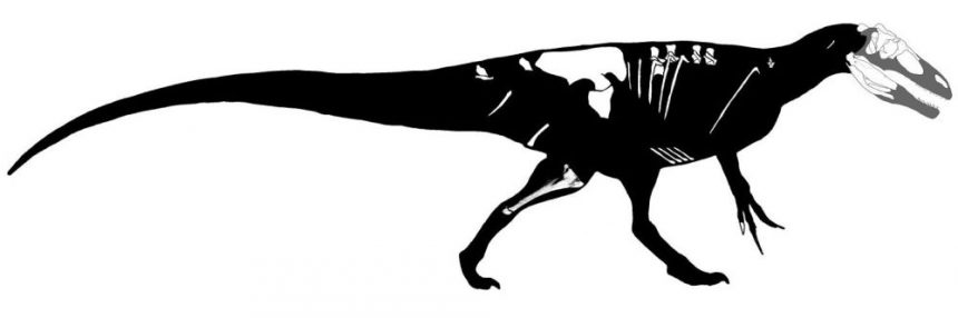 megaraptor-huesos