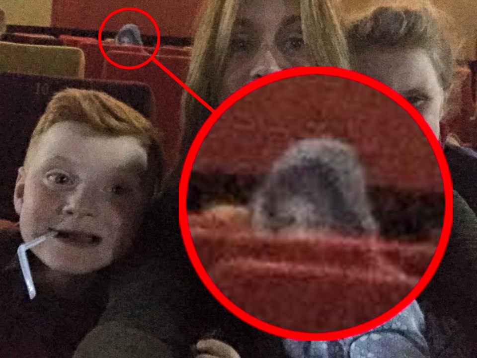 PIC BY MERCURY PRESS (PICTURED: THE GHOST) An unsuspecting family were photobombed by a ghost girl holding a teddy bear while they posed for a spooky selfie in an empty cinema screen. Emma Johnson, 35, from Liverpool, waited for the screen at the Light Cinema in nearby New Brighton to empty before taking a snap with George, six, Ava, eight and first-time cinema-goer seven-month-old Harper. But the family, who were watching new Disney Pixar flick Finding Dory, discovered that they were not on their own and instead appeared to be stalked by a spectral figure when they checked the photo back at home. SEE MERCURY COPY