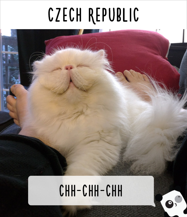 llamados-gatos-republica-checa