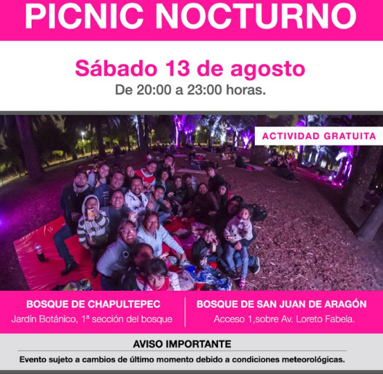 picnic_nocturno_chp