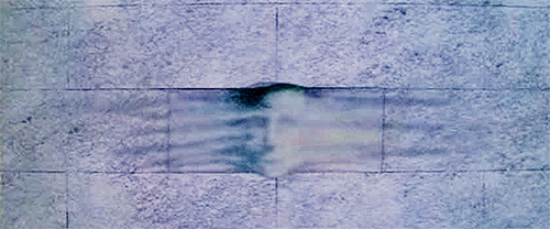 gif-wall-roger-waters